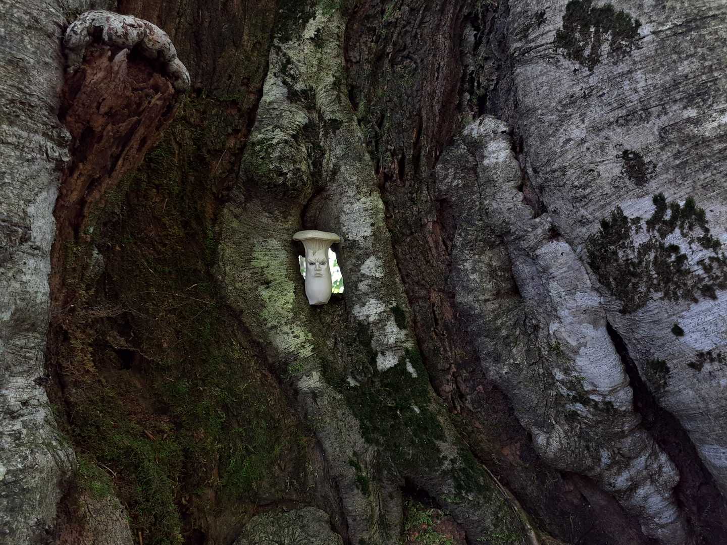 視線を感じる・・・