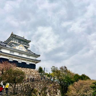 じゃあ
2度目の登頂したら🏯