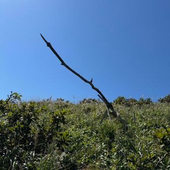 これは何のために設置してるんだろ？🤔