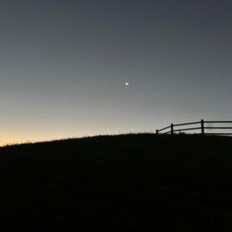 夜明けの月
