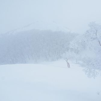 まっちろ！

行く先が平坦なので
安心してシリセードを試みるが

積雪のせいであまり滑らない