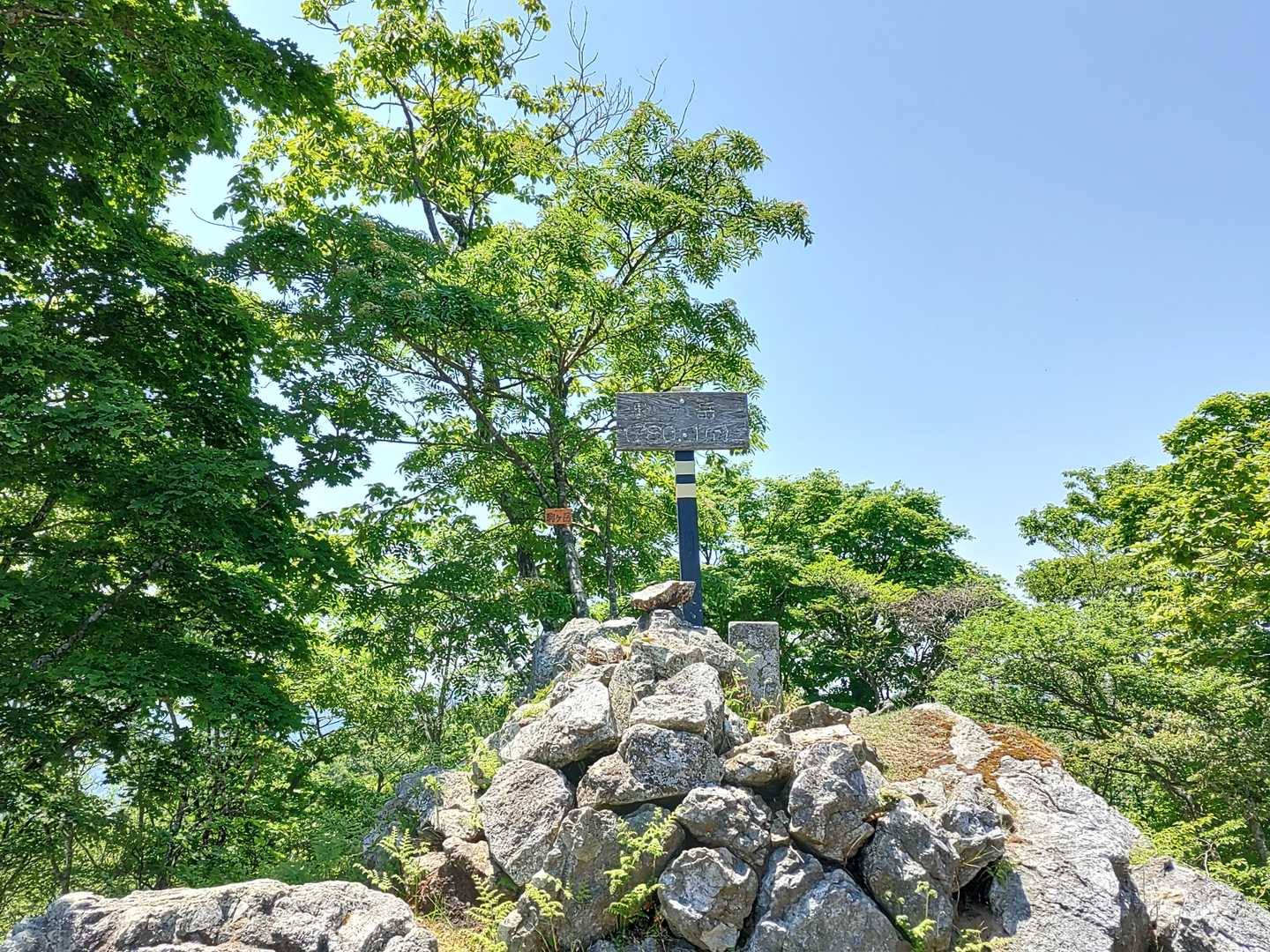 山頂標識と青空と緑、最高🙌