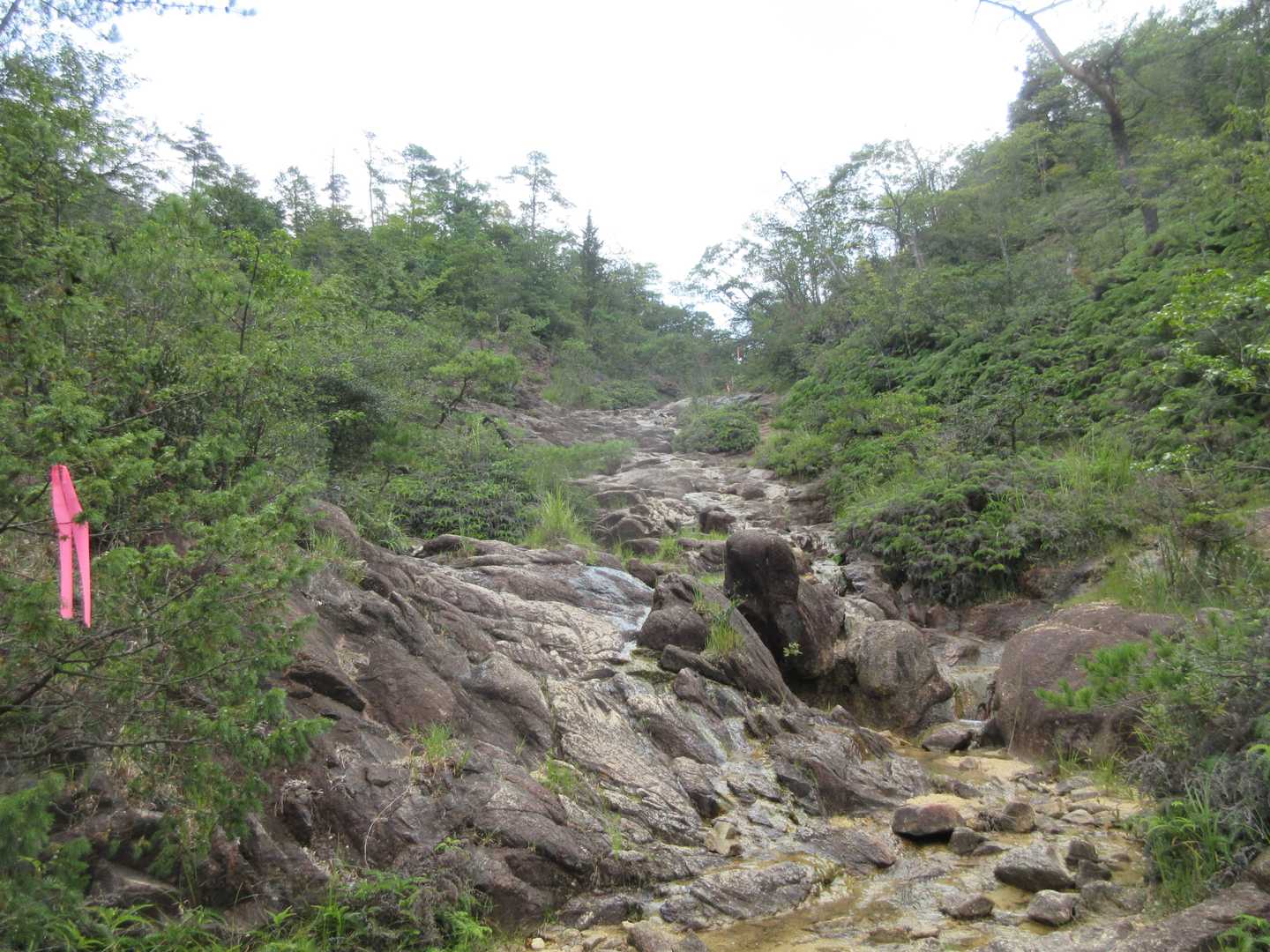 里南口バス停-アルプス登山口バス停-笹間ヶ岳 周回コースの写真