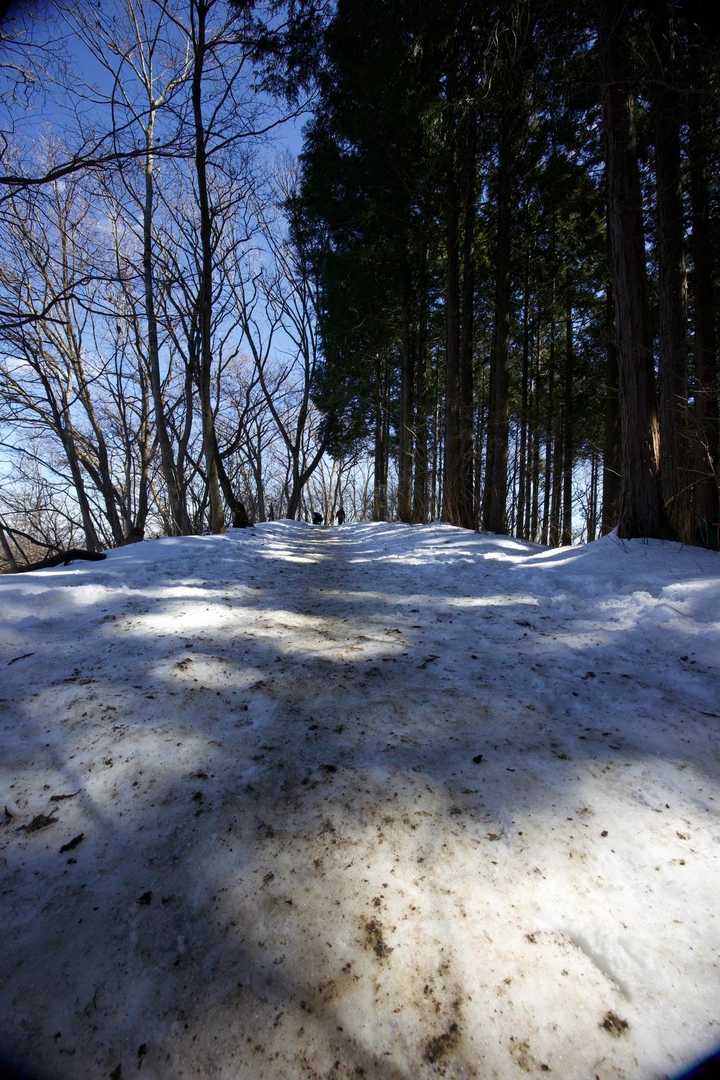 奥高尾〜裏高尾縦走（陣馬山・堂所山・富士見台・駒木野） の写真 27