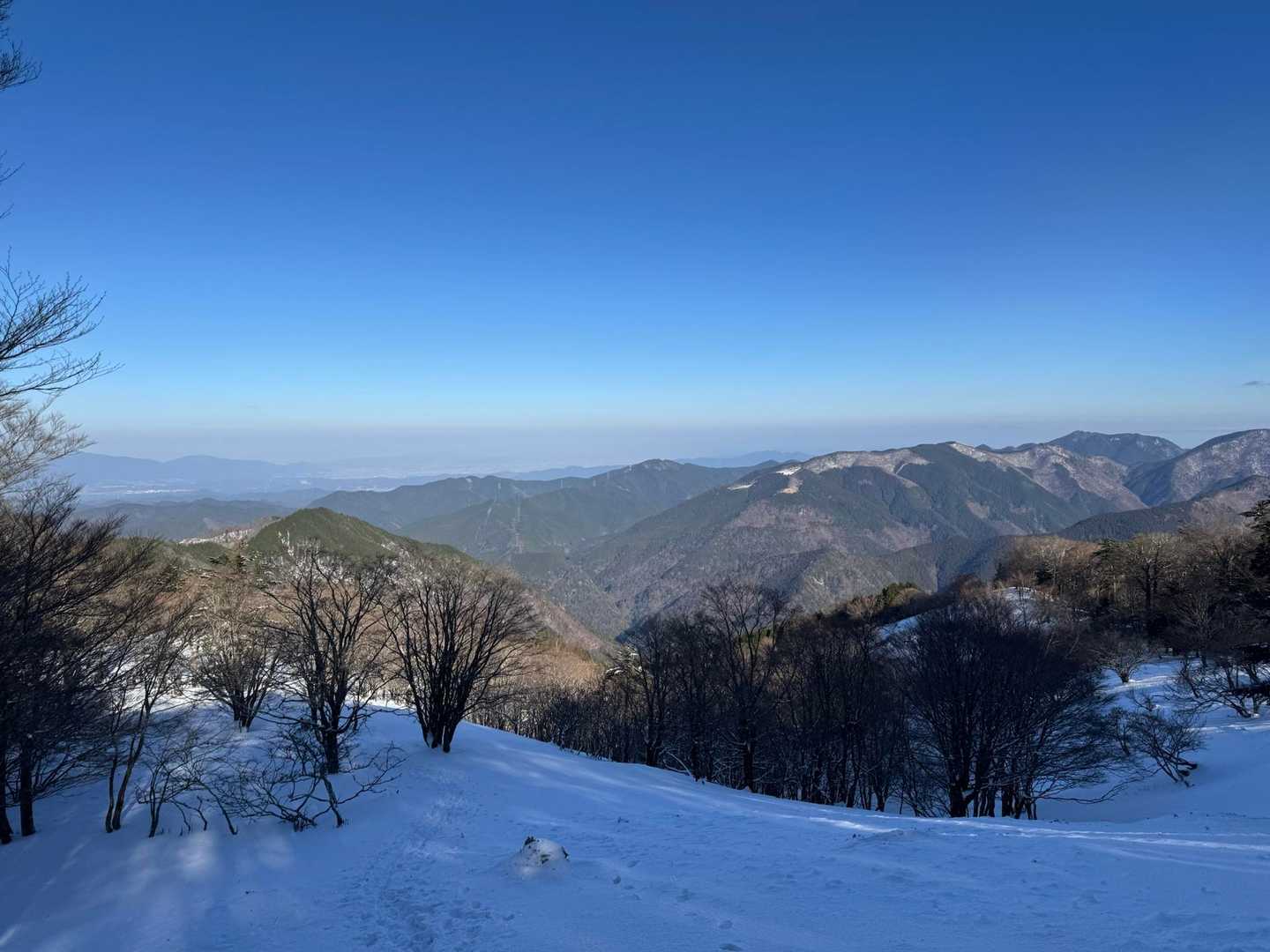 川合登山口-天女の頂 往復コースの写真