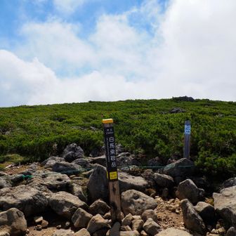 岩岩ゾーンをトラバースの後、登り詰めて
白馬乗鞍岳