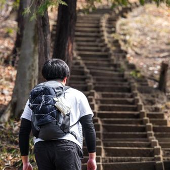 山頂直下の階段