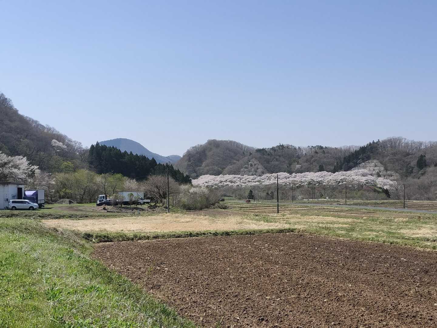 里山の春