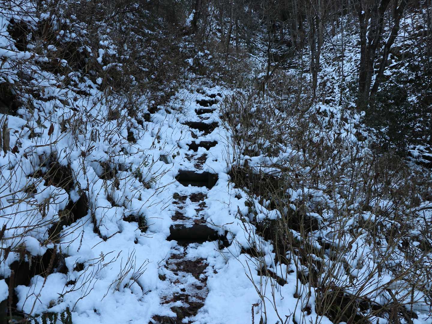途中から道幅も狭く、雪も多くなりました。