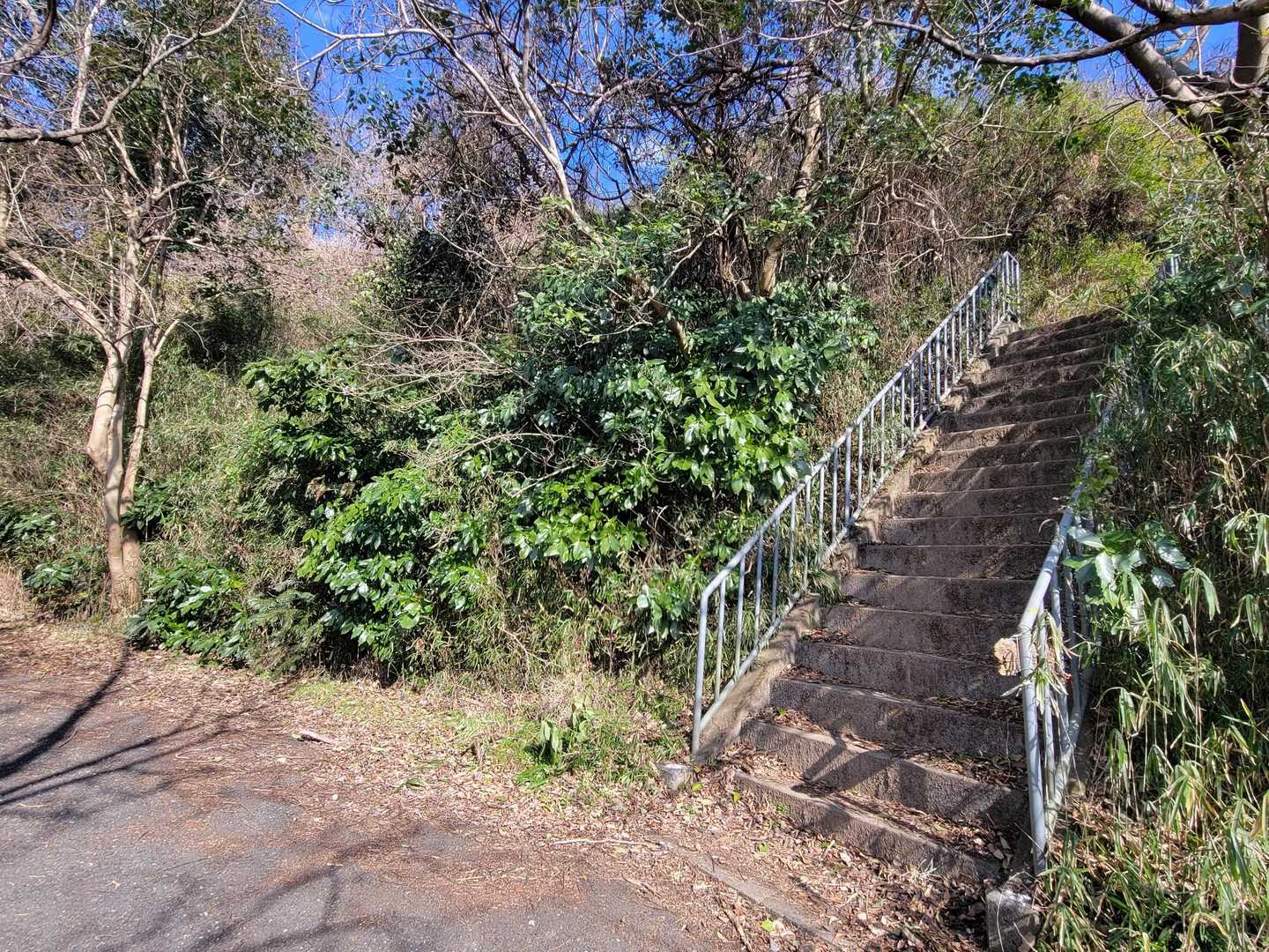 分岐は右の階段を上がります。