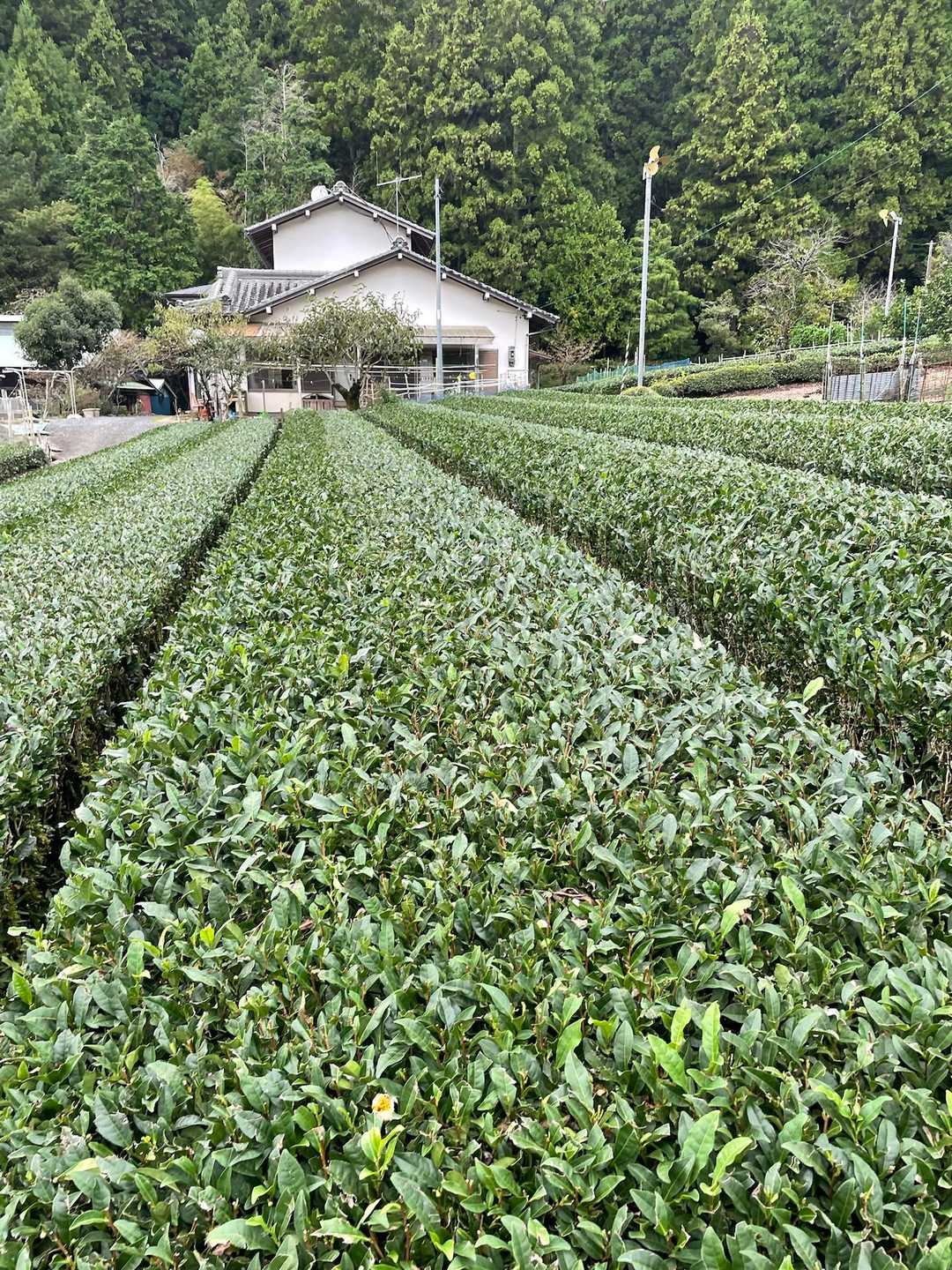 居尻バス停-大尾山 往復コースの写真