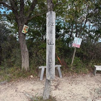 走るお兄さんが登場
スタスタと紅山降りて行かれた👋