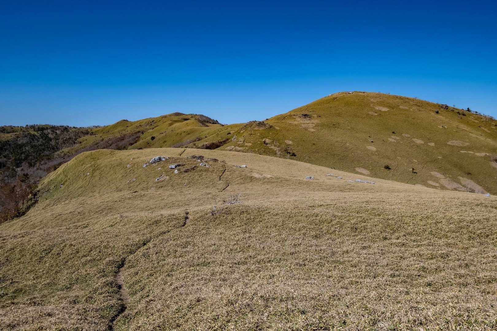 矢筈峠-土佐矢筈山-小桧曽山 往復コースの写真