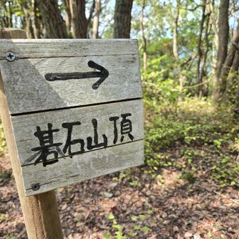 沢山のクモの巣を覚悟して来たけど、思っていたより少なくてよかった☺