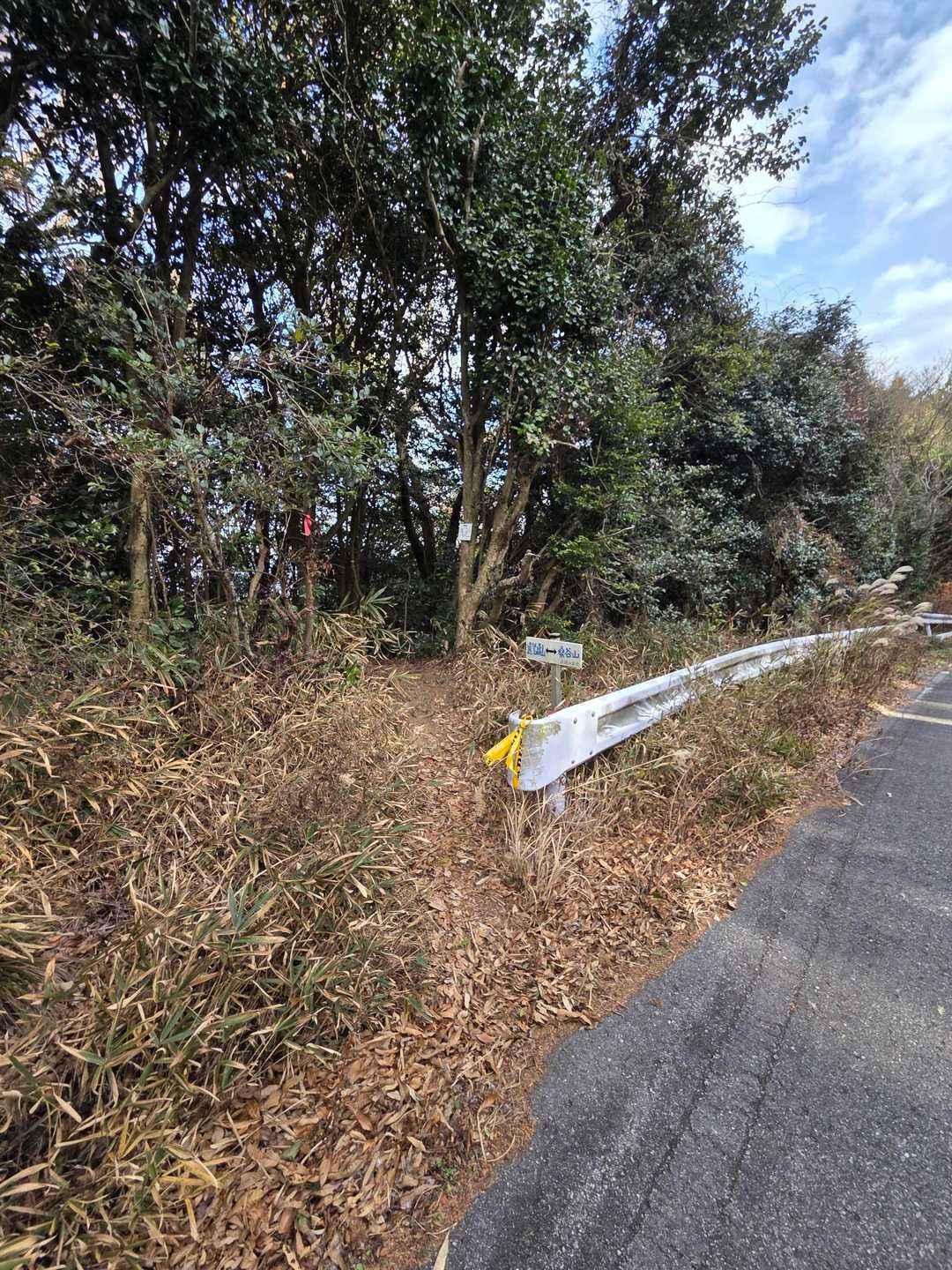 三河湾スカイラインに沿って何度か縫うようにトレイルがあります🔀