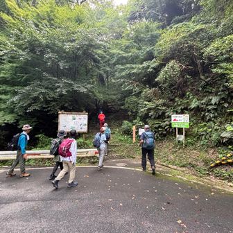 道路では山から下ってこられたと思しき人と数人すれ違いました。少し歩いてサワガニの小路の入口に到着です。