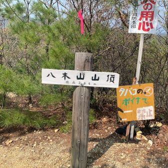 八木山山頂到着