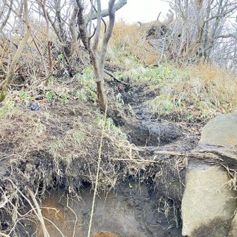 頂上点前の最後のロープも難所です
登りはロープを使わず左からまわりました
結構な段差で足がかけれませんでした