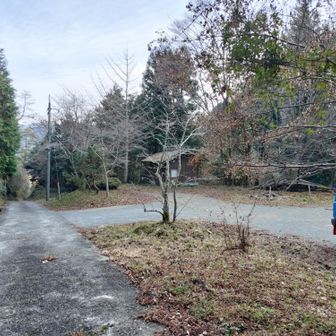 誰にも会わず下山完了🫡
距離の割には疲れる山でした