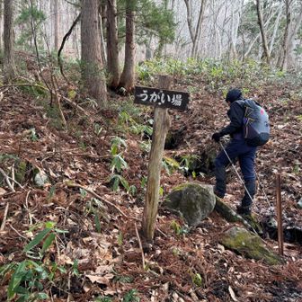 牧場から登山道へ
雪がない😁