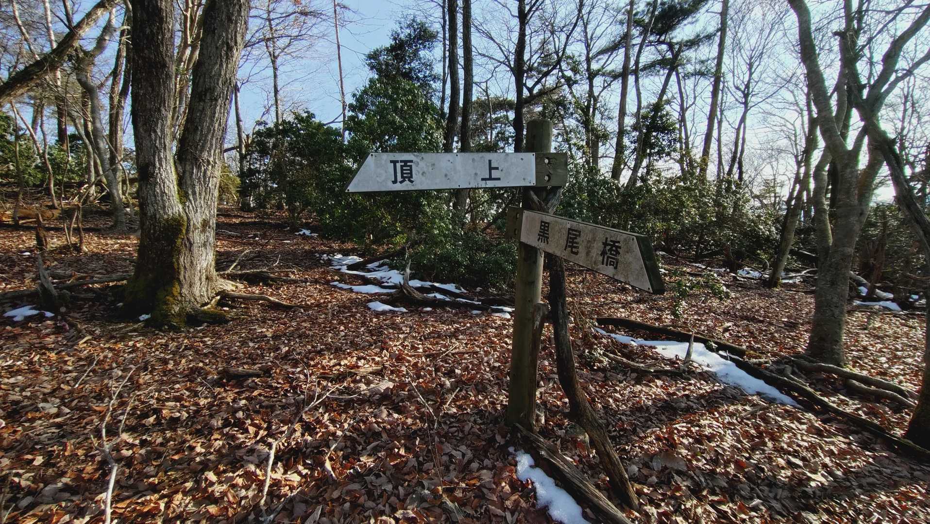 黒尾橋登山口-美女山 周回コースの写真