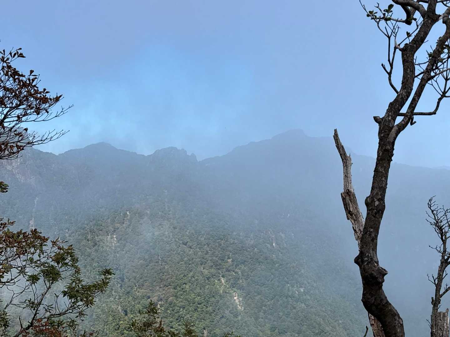 ガスの祖母山への縦走路かな