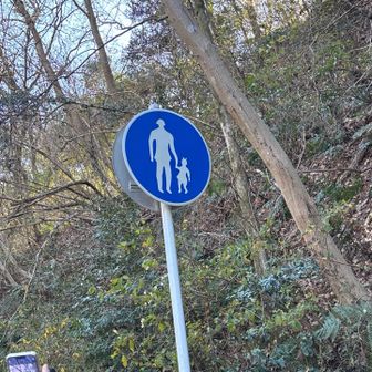 一旦道路に出て、、、
あ、コレレポで見た。
人間か？？宇宙人か？？