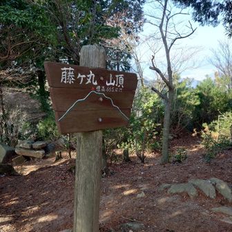 なかなかキツかったぞ😵