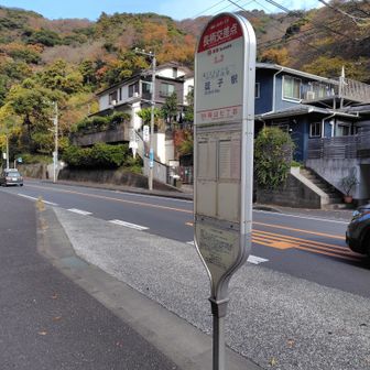 最寄りのバス停から帰りまーす。めっちゃ本数あって助かった。