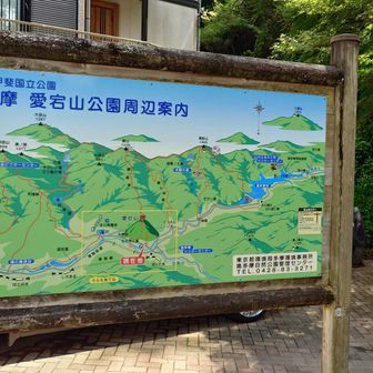 愛宕山に登ってみます