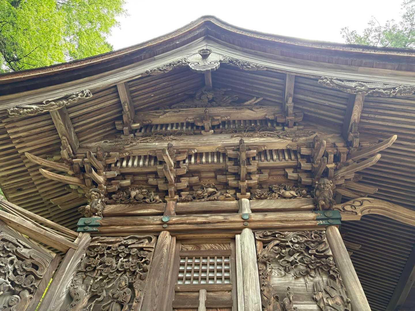 大徳山 周回コースの写真