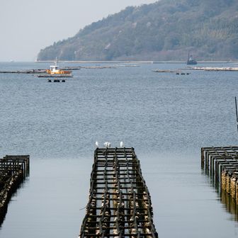 港に戻ってきた