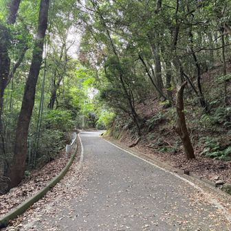 くじゅう花公園でもらったうちわで仰ぎながら
（扇子欲しい〜）