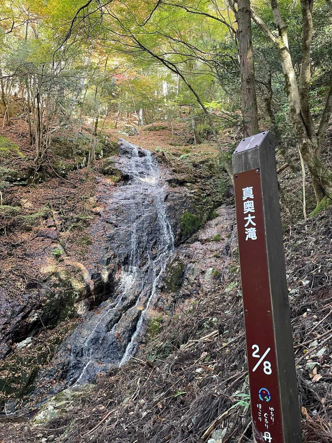 綺麗やな