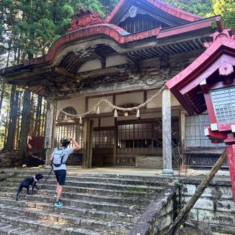 白尾稲荷⛩️
いつもしまっている社務所が、今日は開いてた🙌