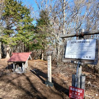 御正体山についた　テーブルとベンチがあったのでコーヒー休憩