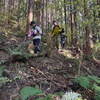 先日、関東百名山も完登したよっちゃんが母の後に続く。