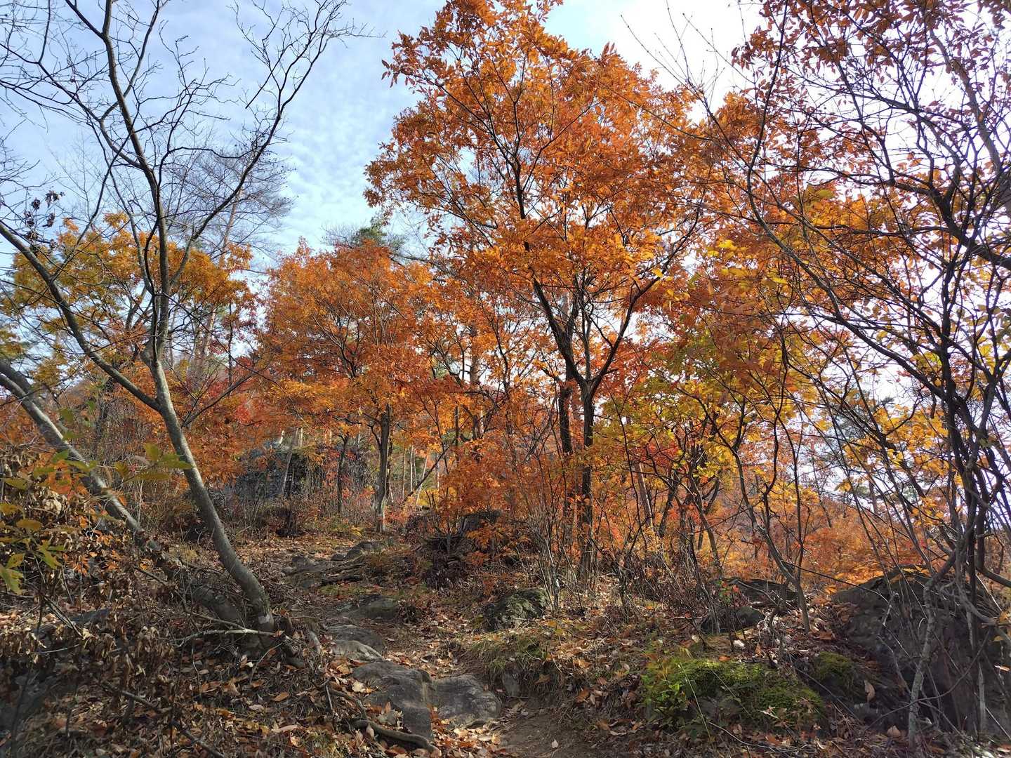 🍁と急登が続く