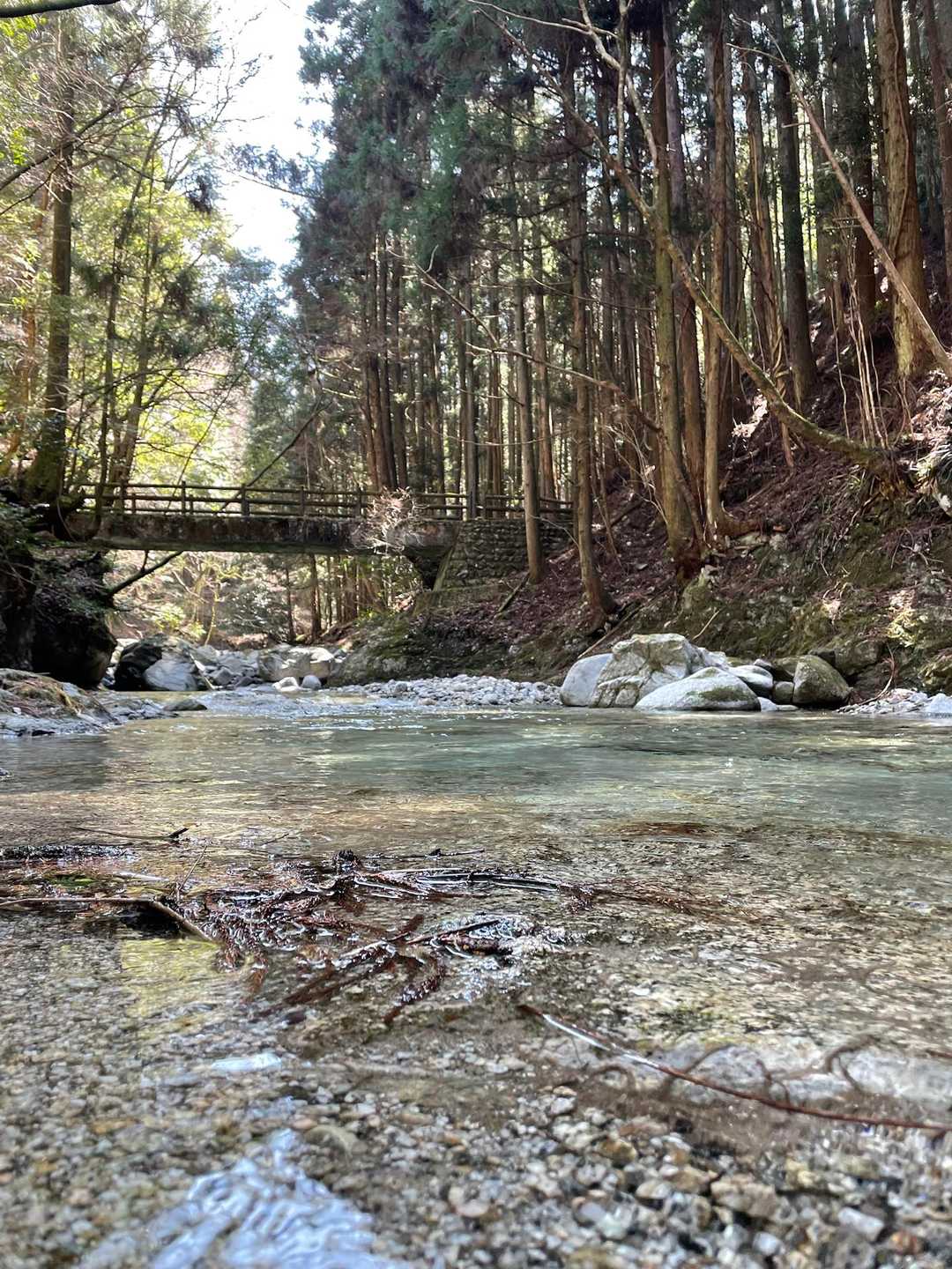 楢原山 往復コースの写真