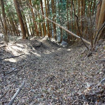 ここを降りればショートカットできそうですが、なにが起こるかわからんので無茶はしません。