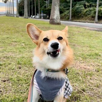 ユーザーあきちゃん