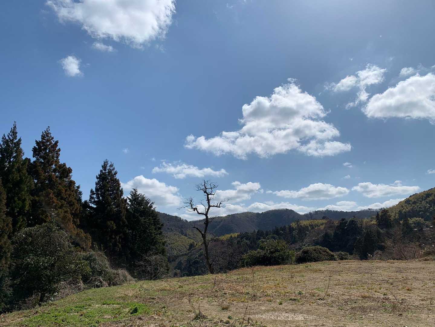 京羅木山-星上山 縦走コースの写真