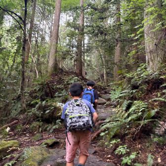 石や木の根が滑るので注意して登ります