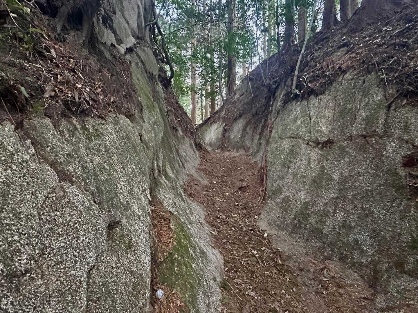 十坊山 往復 | 山頂で巨岩と糸島ブルーを堪能し、下山後はまむしの湯への写真