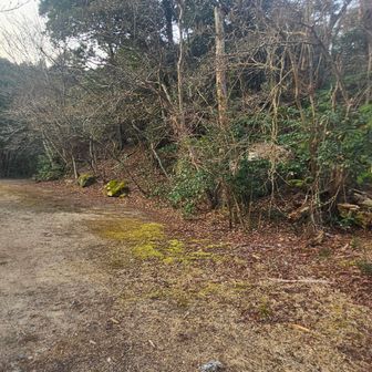臼杵山登山口駐車場の奥から京道に入ります、まだ駐車してる車は有りません。