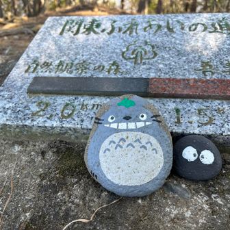 かわいいトトロ達🥰