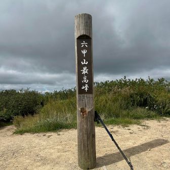 山頂は涼しかった〜