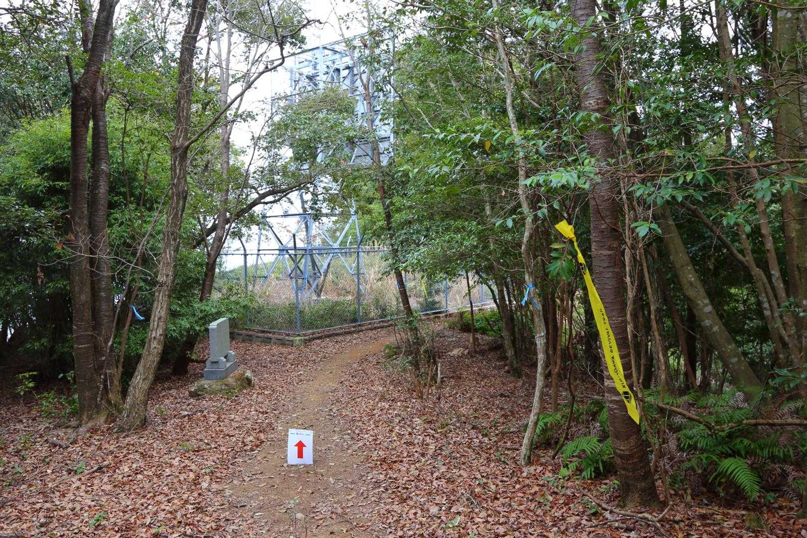 トレランのコースは八竜山から
こちらにやってくるようです。