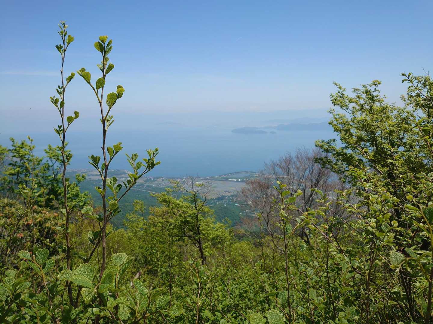イン谷口バス停-ノタノホリ-堂満岳-金糞峠-前山-北比良峠 周回コースの写真