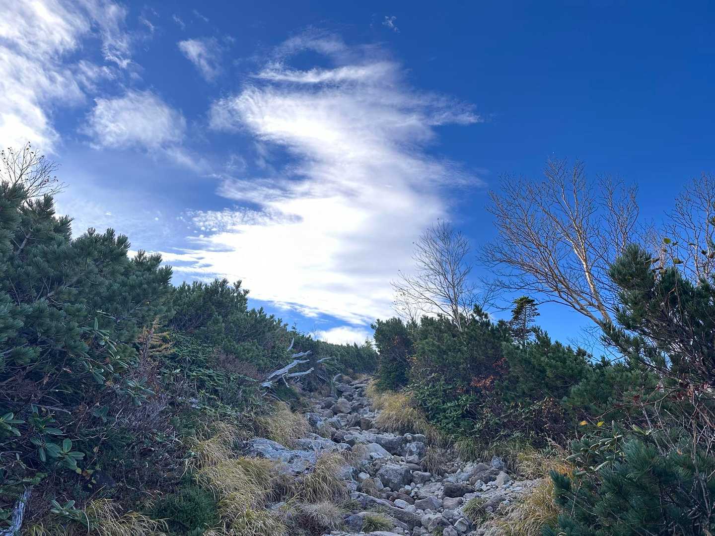 そろそろ白馬大池✨